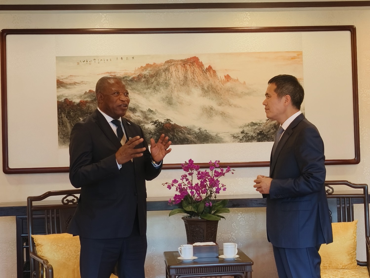 周平剑副会长会见刚果（金）国民议会刚中友好小组组长姆巴塔